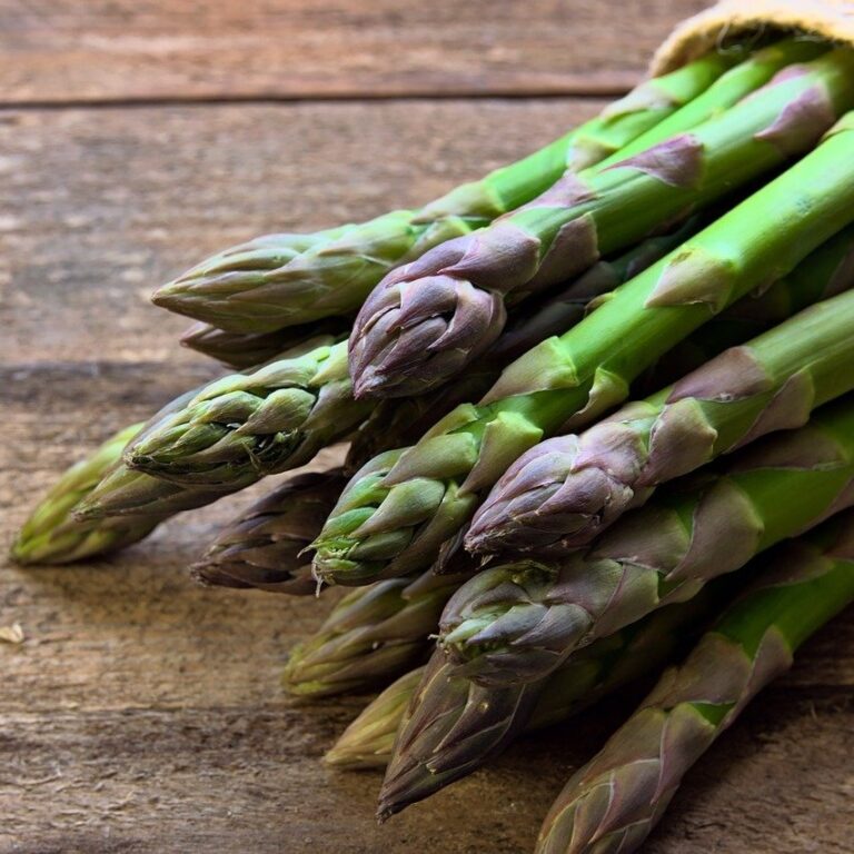 Spearheading Spring: The Ultimate Asparagus Guide