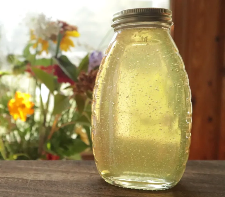 From Bloom to Bite: Why Bees Matter