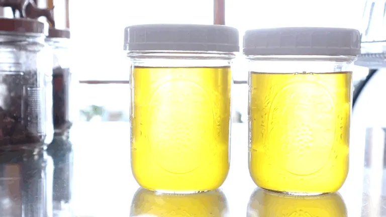 Golden Goodness: How to Make Ghee and Preserve It for the Long Haul