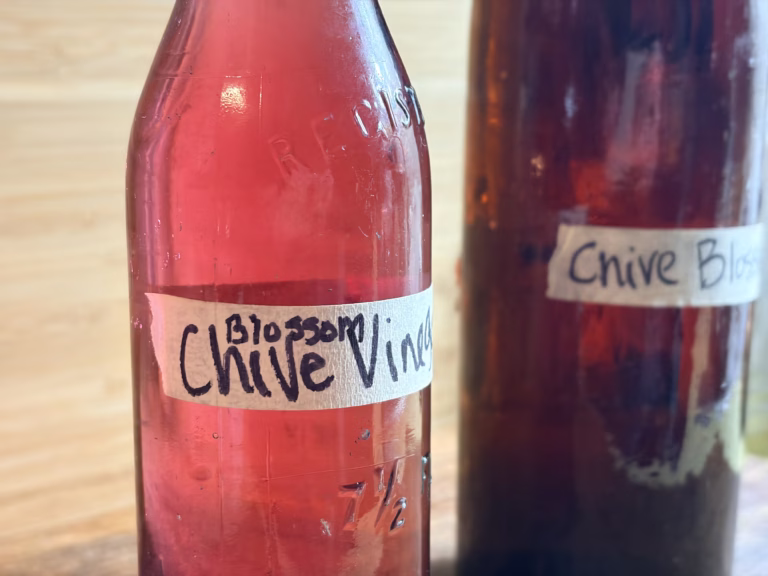 Late‑Summer Forage: Vinegars That Taste Like Home